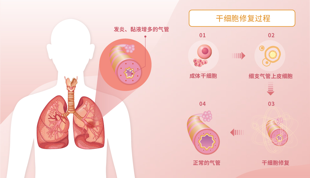 免疫提升方案-pc-09.jpg